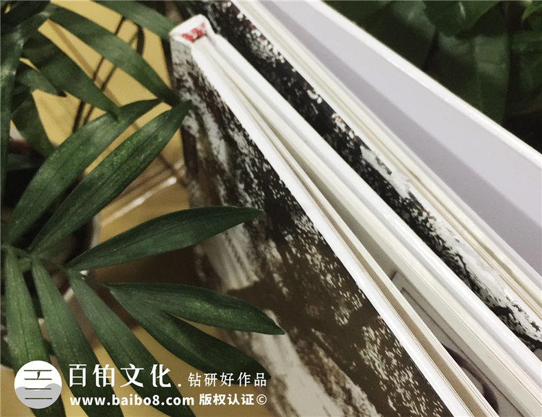 成都西南財(cái)經(jīng)大學(xué)保險(xiǎn)學(xué)院2012屆本科畢業(yè)生紀(jì)念冊
