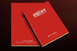 真正高端的房地產(chǎn)企業(yè)宣傳畫冊設(shè)計 擺脫創(chuàng)意文案 廣告照樣牛逼！