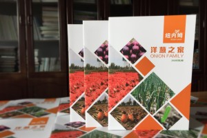 【500強企業(yè)】怎樣設計公司內(nèi)部期刊雜志,期刊欄目內(nèi)容怎么規(guī)劃