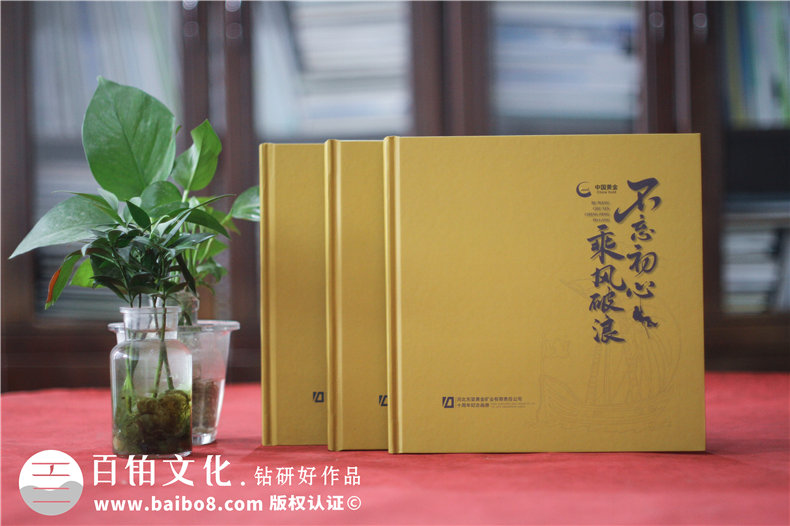集團(tuán)成立周年宣傳冊(cè)-公司創(chuàng)建10周年活動(dòng)制作相冊(cè)影集