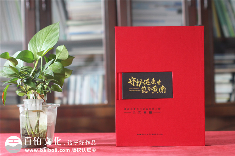 疾控中心重大傳染病防控工作紀(jì)實畫冊-衛(wèi)生健康委員會成果宣傳畫冊