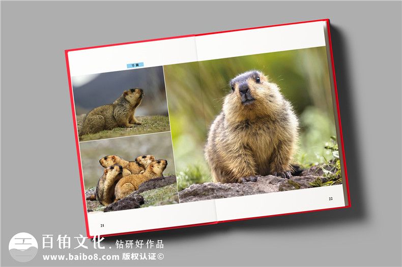 疾控中心重大傳染病防控工作紀(jì)實畫冊-衛(wèi)生健康委員會成果宣傳畫冊