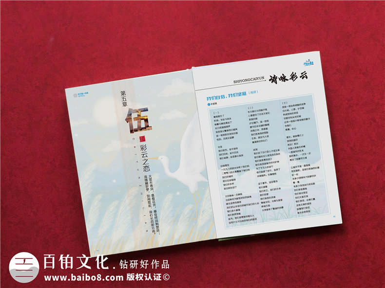 抗疫結(jié)束送支援醫(yī)護(hù)人員的紀(jì)念冊-抗擊疫情宣傳影集紀(jì)念畫冊設(shè)計