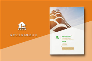 企業(yè)服務(wù)公司宣傳冊制作-財(cái)稅咨詢會(huì)計(jì)服務(wù)公司畫冊設(shè)計(jì)