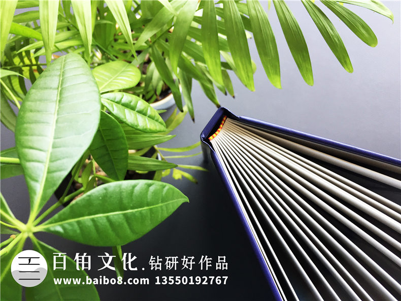 【企業(yè)資質(zhì)手冊(cè)】 公司簡(jiǎn)介畫冊(cè)設(shè)計(jì)制作 企業(yè)介紹宣傳冊(cè)排版