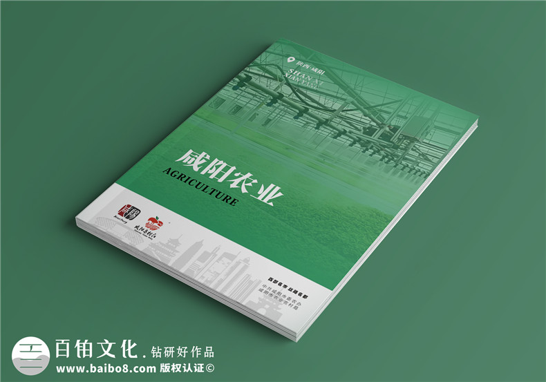 企業(yè)宣傳冊(cè)設(shè)計(jì)-產(chǎn)品宣傳冊(cè)設(shè)計(jì)堅(jiān)持的思維