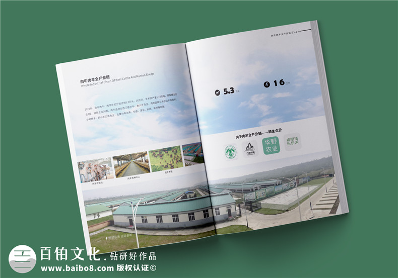 成都宣傳冊設(shè)計(jì)-打造令人印象深刻的企業(yè)宣傳手冊