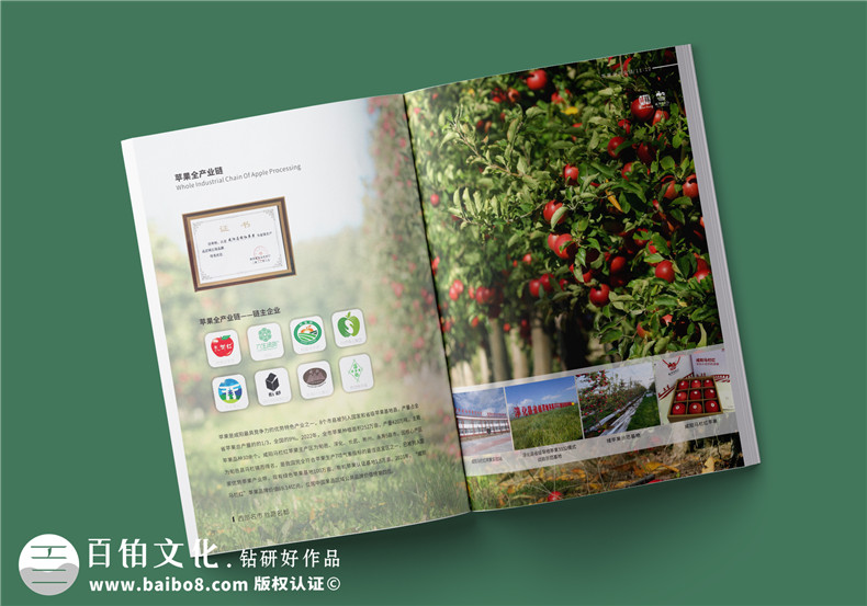 農(nóng)業(yè)宣傳冊(cè)設(shè)計(jì)-綠色農(nóng)業(yè)宣傳冊(cè)怎么設(shè)計(jì)