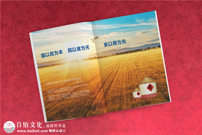企業(yè)級畫冊設計 選擇專業(yè)的平面設計公司很重要！