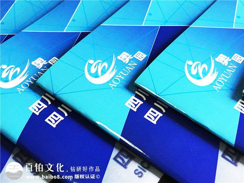 學(xué)校招生簡(jiǎn)章宣傳冊(cè)設(shè)計(jì)-畫(huà)冊(cè)設(shè)計(jì)制作