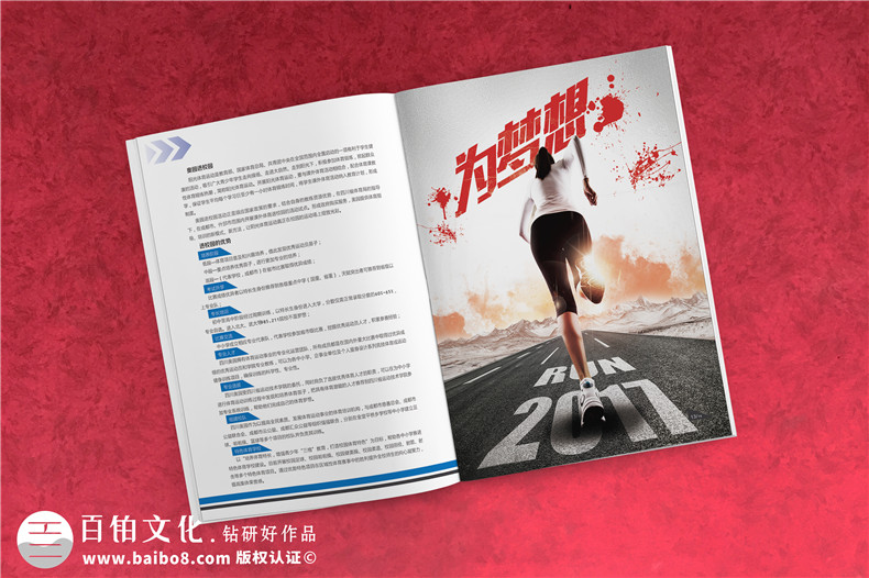 學(xué)校招生簡(jiǎn)章宣傳冊(cè)設(shè)計(jì)-畫(huà)冊(cè)設(shè)計(jì)制作