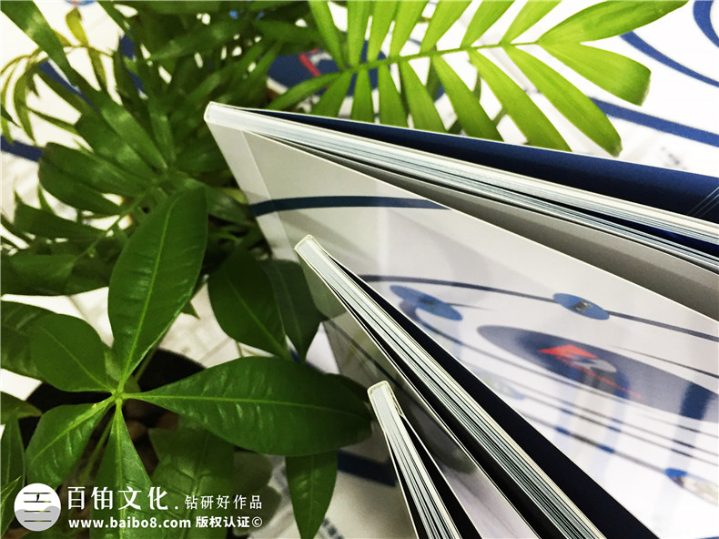 畫冊設(shè)計(jì)軟件有哪些 使用什么軟件制作企業(yè)畫冊好？