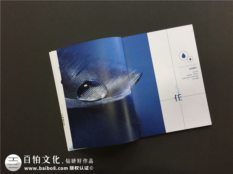 畫冊(cè)內(nèi)頁(yè)排版設(shè)計(jì)4大風(fēng)格,宣傳冊(cè)版式設(shè)計(jì)必看
