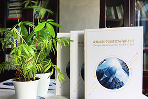 企業(yè)畫冊設(shè)計方法分享 專業(yè)的畫冊設(shè)計公司致力于提升企業(yè)品牌！