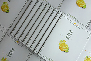 公司宣傳彩頁制作 怎么提升企業(yè)彩頁設計水平？