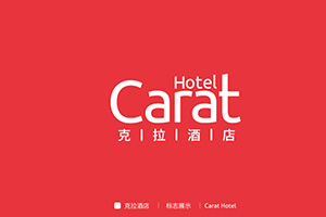 品牌設(shè)計公司的專業(yè)理念 企業(yè)品牌塑造與策劃的方法！