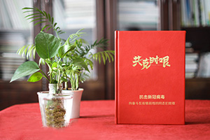 疫情紀(jì)念冊 為疫情后的醫(yī)療隊(duì)志愿者制作紀(jì)念冊 紀(jì)念不平凡！