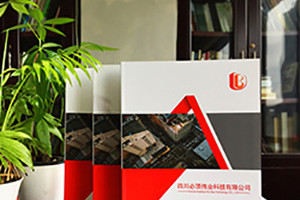 個(gè)性畫(huà)冊(cè)定制設(shè)計(jì)印刷 畫(huà)冊(cè)創(chuàng)意設(shè)計(jì)有方法！