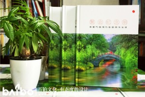 同學(xué)聚會(huì)紀(jì)念冊(cè)內(nèi)容設(shè)計(jì) 應(yīng)該放入哪些板塊,放入哪些紀(jì)念冊(cè)內(nèi)容？