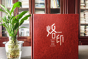 怎樣做出意義深遠的個人紀念冊，個人成長紀念冊制作的做法是什么？