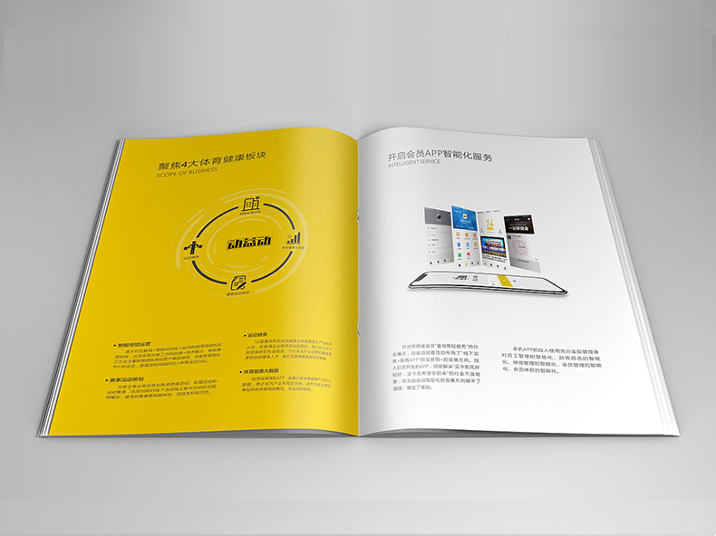 體育用品公司畫冊設計 體育器材公司畫冊設計的理念！